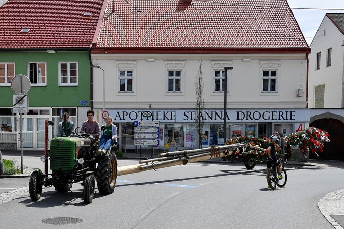 Maibaum zurückbringen nach Pregarten