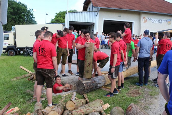 Maibaum zurückbringen zur FF Zeiss