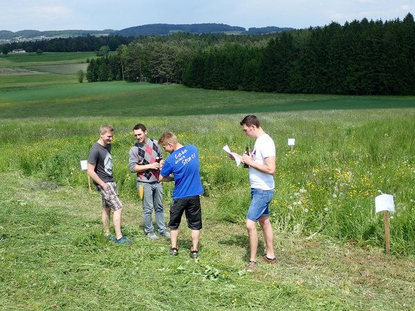 Ortssensenmähen 2019